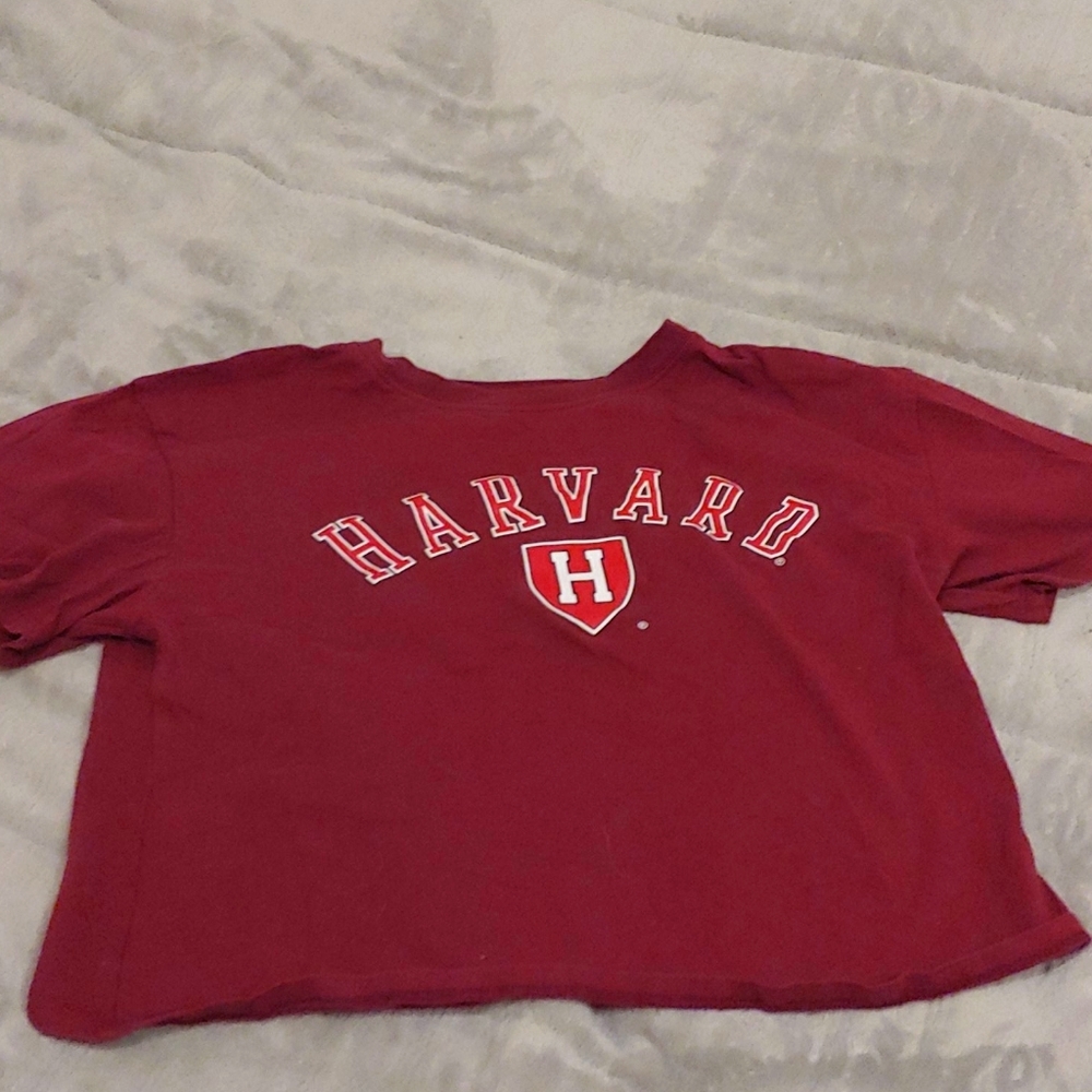Burgundy Harvard Crop Top